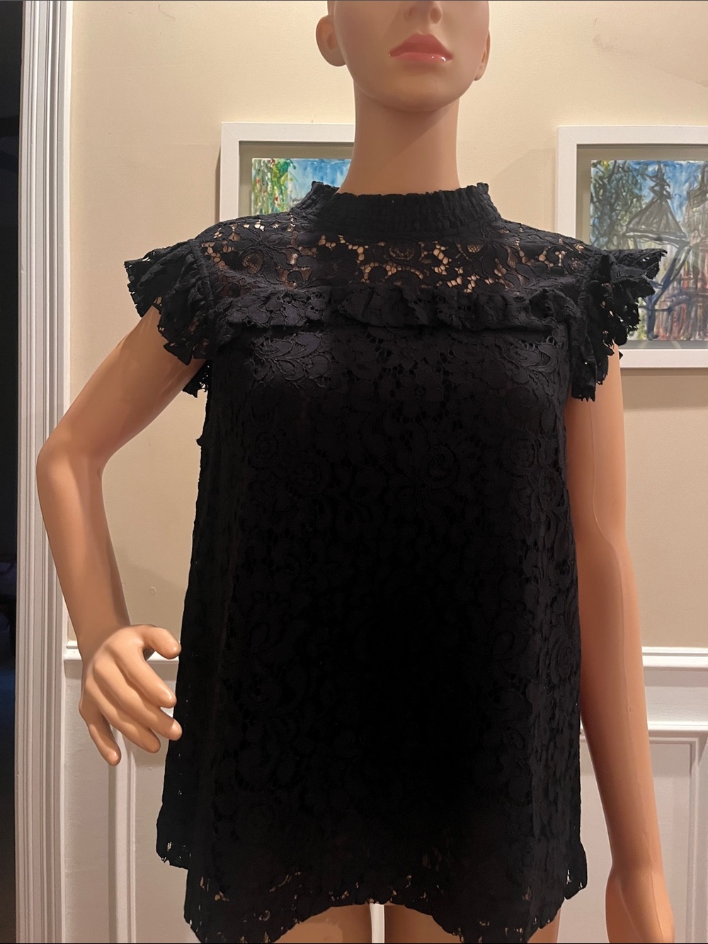 Ann Taylor Black Lace Ruffle-Sleeve Shell